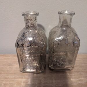 Elegant Silver Glass Vases